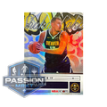 NIKOLA JOKIC (SHAKA LAKA) - NBA HOOPS